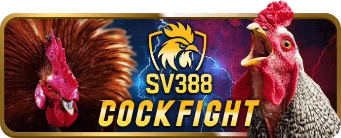 Ví điện tử hj88
